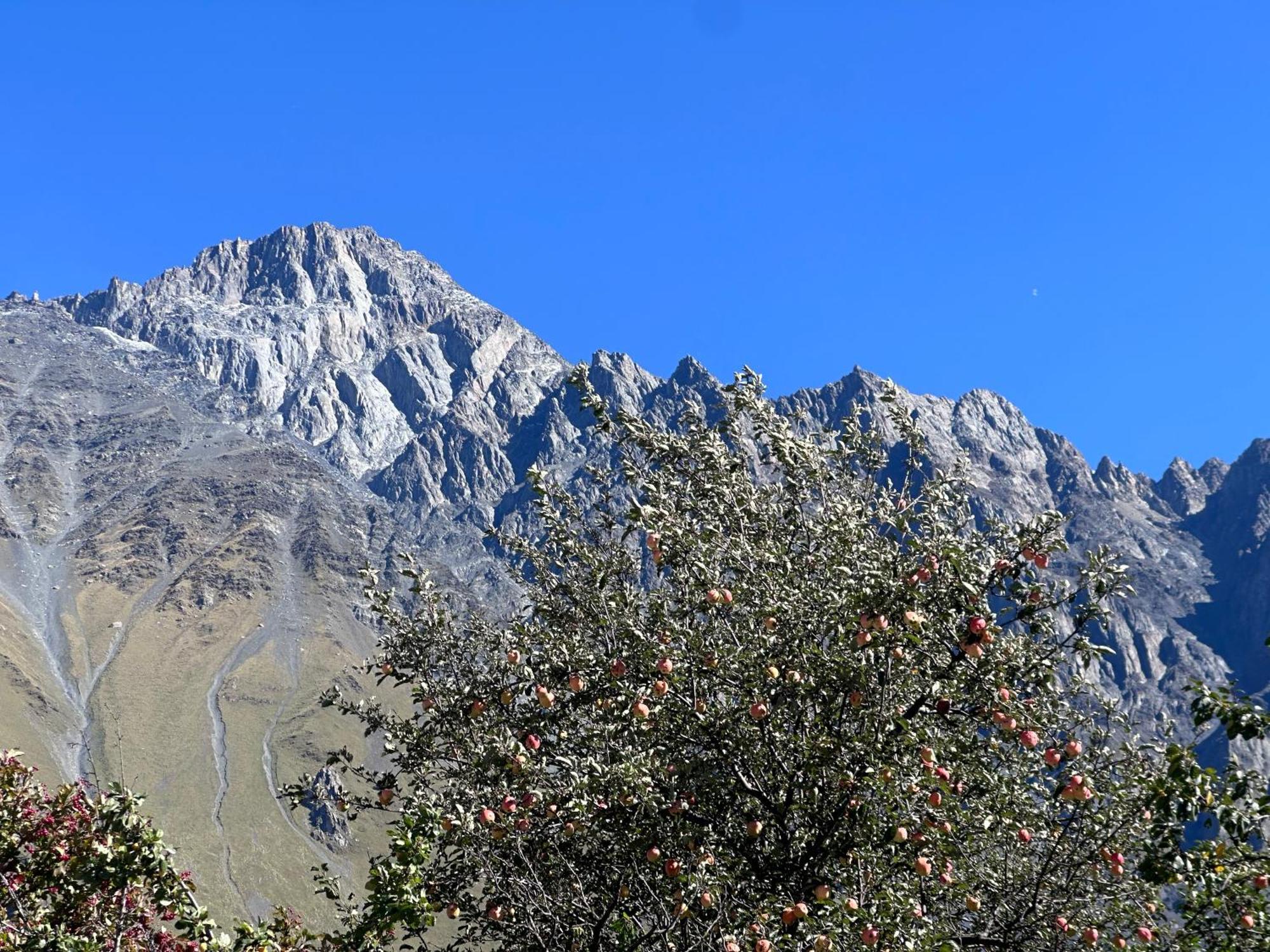 Hotel Mountime Kazbegi Exterior photo